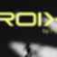 CISO services for the ROIX crowdfunding platform